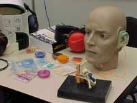 Fotos: Paulo Noronha/Agecom