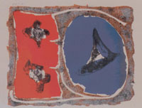 Autor: Nara Milioli: Litografia (42 x 32)cm
