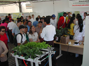 Agricultura hidropônica - foto Jones Bastos - Agecom