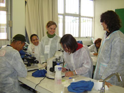 Estudantes em edição passada