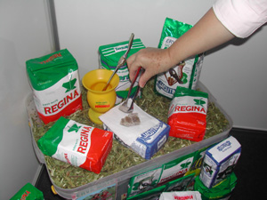 Fotos: Jones Bastos / Agecom