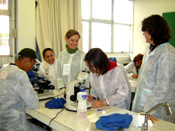 Troca em laboratórios enriquece vivência na UFSC