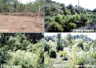 Fotos documentam as fases da recuperação