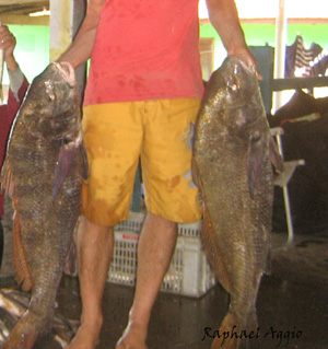 Trinta e quatro pescadores foram entrevistados