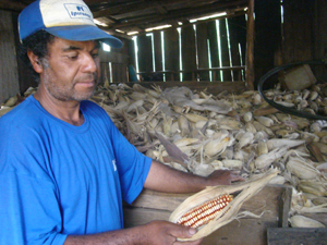 Pesquisa recupera histórico de acesso à terra