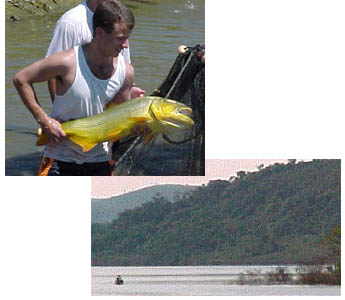 Estudo com peixes do Rio Uruguai é beneficiado