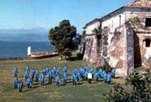 Coral na ilha de Anhatomirim 1983