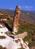Floresta Petrificada de Lesbos