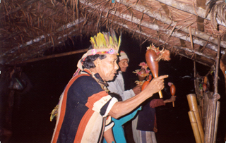 Área Indígena Pirajuy, Paranhos (MS).