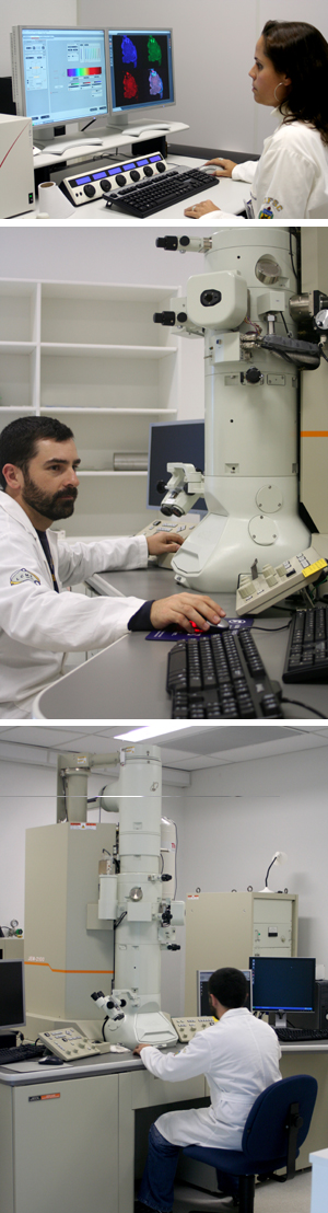 Laboratório de Microscopia atende diversas pós-graduações