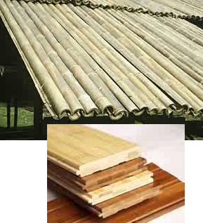 Bambu como material, na forma natural e industrializada
