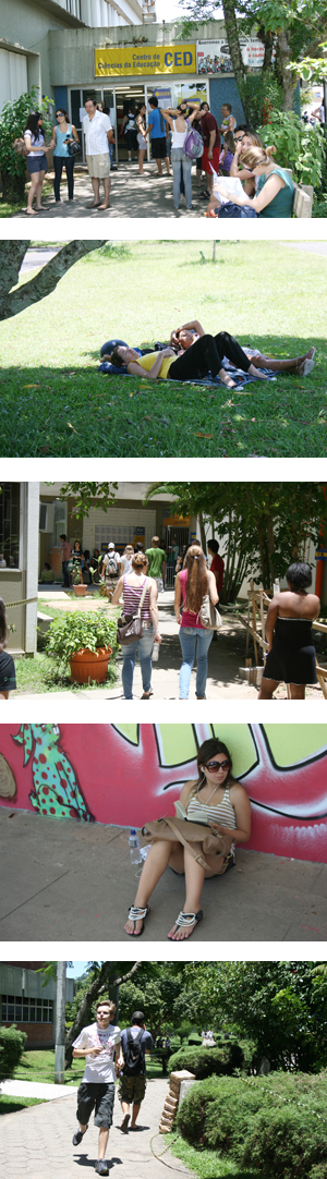 Fotos: Paulo Noronha/ Agecom