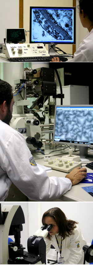 Laboratório Central de Microscopia Eletrônica