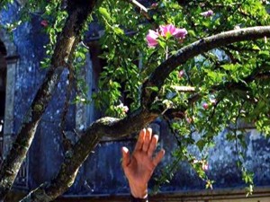 Imagens do filme Viagem ao Principio do Mundo