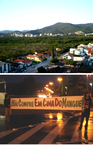 Área de mangue resultou no caso Santa Mônica