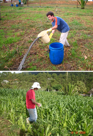 Trabalhos de campo e laboratório fortalecem a graduação