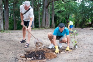 2o_mutirao_bosque_291113_Jair_Filipe_Quint (1)