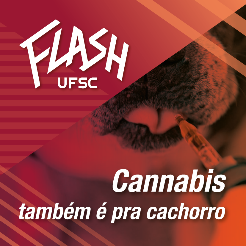 Notícias da UFSC