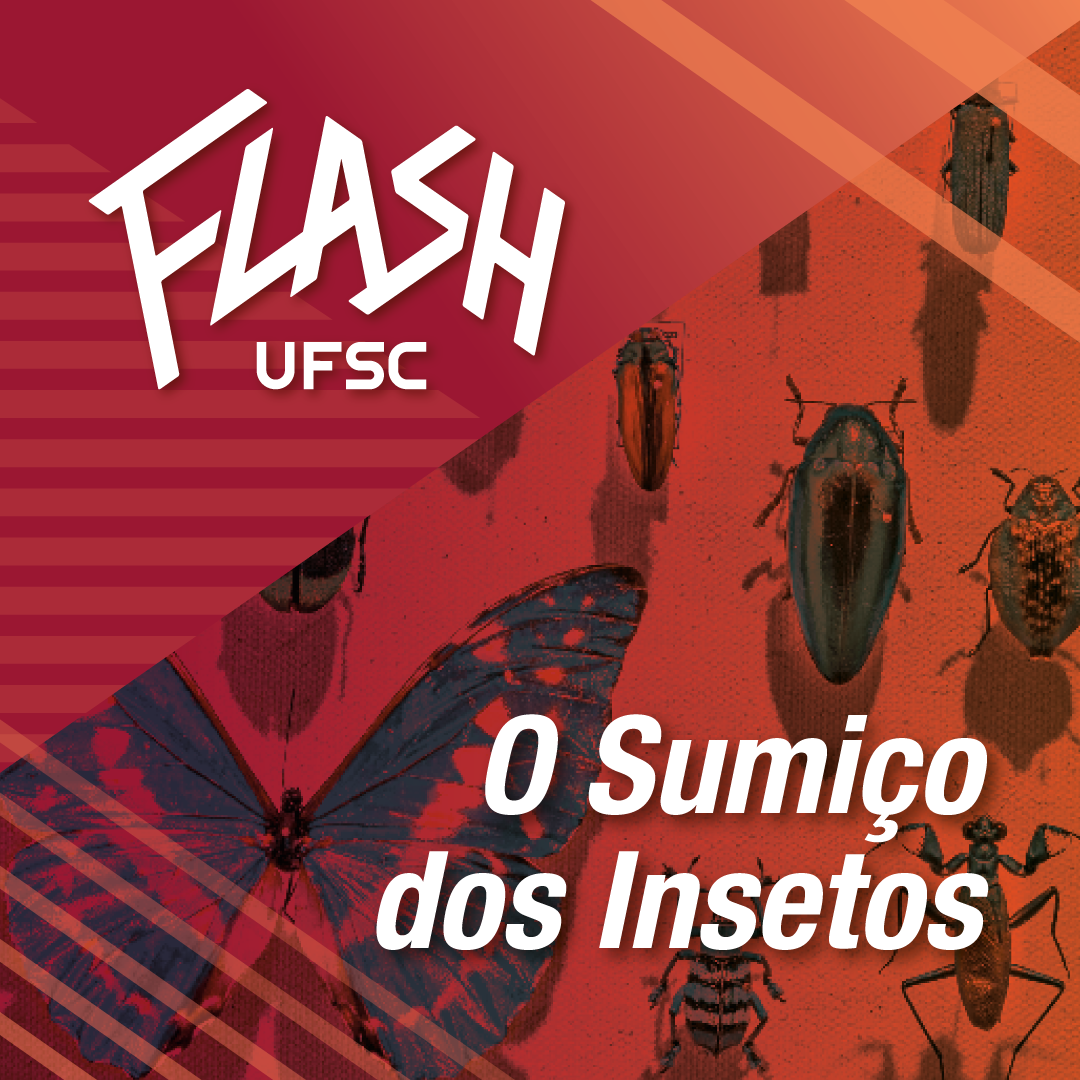 Unesp promove torneio de xadrez gratuito e virtual